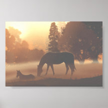 Chevaux dans le brouillard de matin posters
