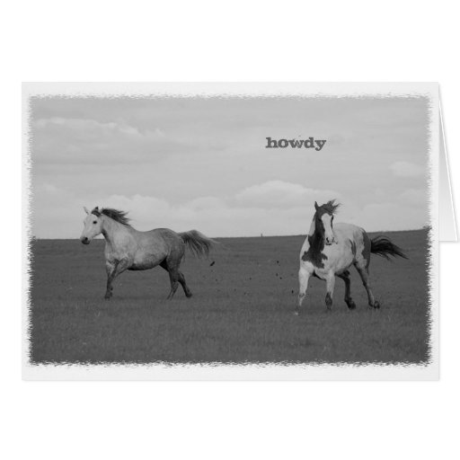 Chevaux galopants dans la carte de voeux de pâtura