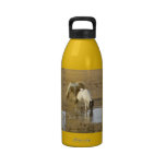 CHEVAUX HEUREUX BOUTEILLE