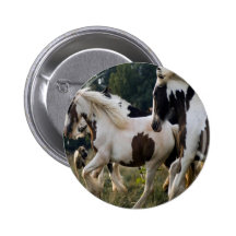 CHEVAUX NOIR ET BLANC 1.PNG PIN'S