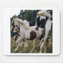 CHEVAUX NOIR ET BLANC 1.PNG TAPIS DE SOURIS
