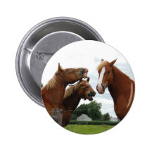 chevaux riant 1 badge avec épingle
