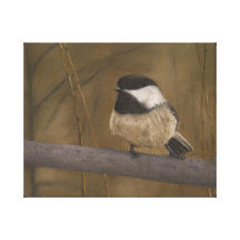 Chickadee Stretched Canvas Afdrukken