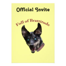 Chien Brattitude de Catahoula Faire-parts