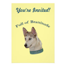 Chien Bratty Brattitude d'Ausky Faire-parts