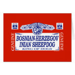 Chien de berger Bosnien-Herzegovinian Cartes De Vœux