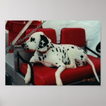 Chien de bourgeon posters