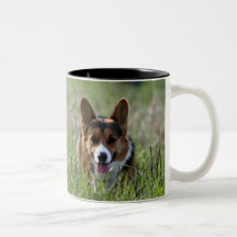 Chien de corgi tasse