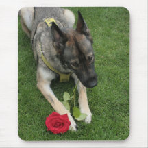 Chien de loup tapis de souris