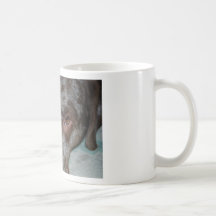 Chien de Merle Tasse À Café