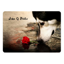 Chien de traîneau avec le carte de visite de rose 