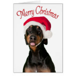 Chien drôle de dobermann utilisant le chapeau de P Cartes De Vœux