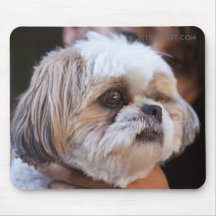 Chien émotif tapis de souris