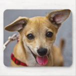 Chien émotif tapis de souris