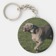 Chien espiègle Keychain de Weimaraner Porte-clef