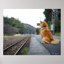Chien se reposant sur la station de train affiche