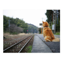 Chien se reposant sur la station de train carte postale
