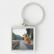 Chien se reposant sur la station de train porte-clé