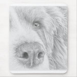 Chien Tapis De Souris