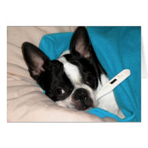 Chienchien de jour en difficulté cartes de vœux