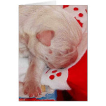 Chiot américain de bouledogue carte de vœux
