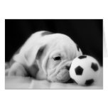 Chiot anglais de bouledogue "de nez de ballon de f cartes de vœux