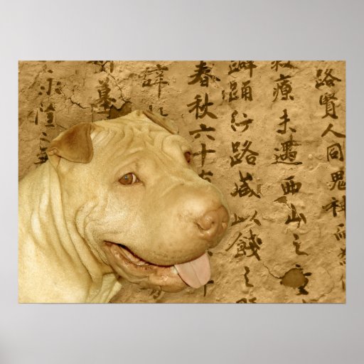 Chiot antique de Shar Pei de Chinois Posters