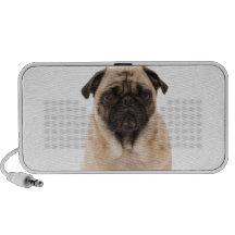 Chiot de carlin haut-parleur iPod