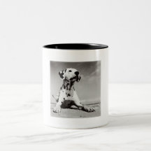 Chiot de Dalmation Tasse À Café