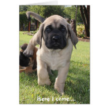 Chiot de mastiff venant pour vous souhaiter un v-j carte de vœux