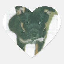 Chiot de Rottie Autocollant En Cœur