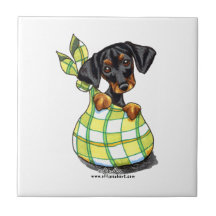 Chiot de sac à Pinscher de dobermann Carreaux
