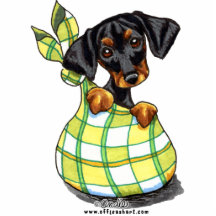 Chiot de sac à Pinscher de dobermann Photo En Relief