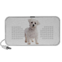 Chiot maltais haut-parleurs ordinateur portable