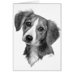 Chiot mignon ! carte