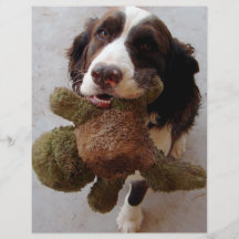 Chiot précieux prospectus personnalisés