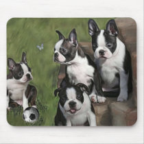 Chiots de Boston Terrier Tapis De Souris