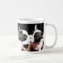 Chiots de bouledogue français mug