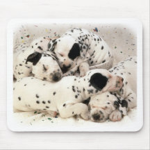 Chiots de Dalmation Tapis De Souris