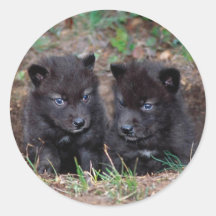 chiots de loup adhésifs ronds