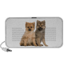 Chiots de Spitz Haut-parleurs Notebook