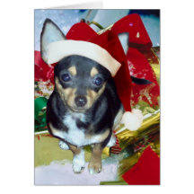 Chiwawa mignon AngelPearlGirl de Père Noël Carte De Vœux
