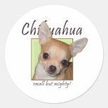 Chiwawa, petit mais puissant autocollants ronds