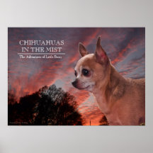 Chiwawas dans la brume posters