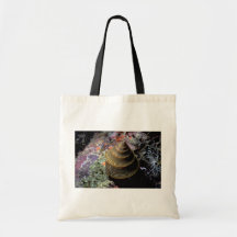 Chocolade-gevoerde hoogste shell (javanicum Callio Canvas Tas