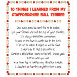 Choses I appris du bull-terrier du Staffordshire Photo Sculpture