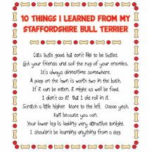 Choses I appris du bull-terrier du Staffordshire Photo Sculpture