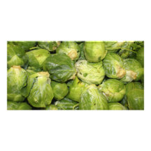 Choux de Bruxelles Cartes De Vœux Avec Photo
