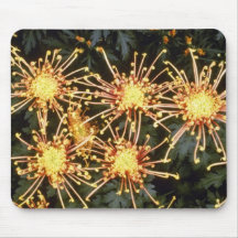 chrysanthème jaune "cimeterre" (fleuriste Chrysant Tapis De Souris