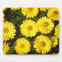 chrysanthème jaune "Gordon Taylor" (fleuriste Chry Tapis De Souris